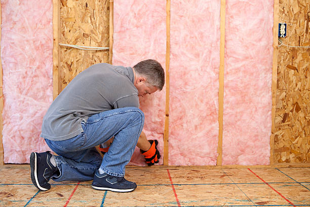 Best Residential Insulation in Salem, WV